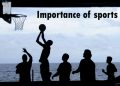 Importance Of Sports