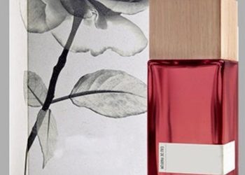 Customized Cardboard Perfume Boxes
