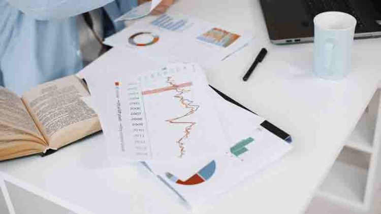 statistics assignment help