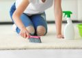 carpet cleaning home