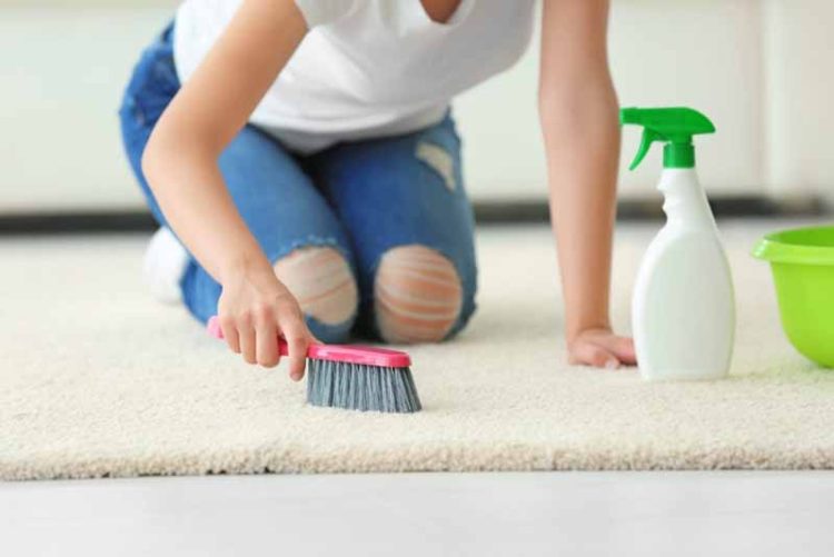 carpet cleaning home
