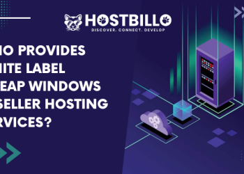 Who Provides White Label Cheap Windows Reseller Hosting Services?