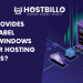 Who Provides White Label Cheap Windows Reseller Hosting Services?