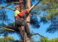 arborist supply