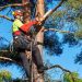 arborist supply