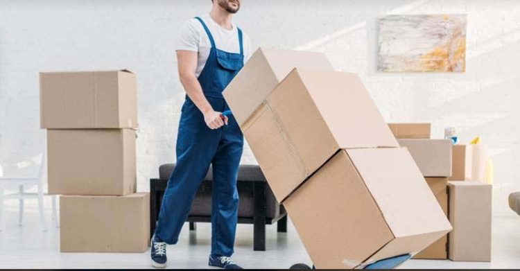 The Right Fit: Factors to Consider When Choosing Professional Movers and Packers