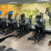 Why Premium Commercial Gym Equipment is Essential for Perth Fitness Centres